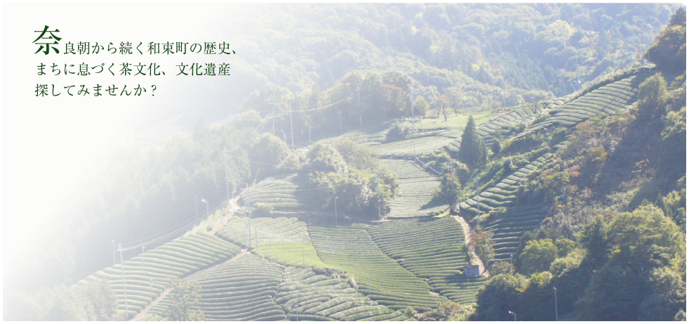 奈良朝から続く和束町の歴史、まちに息づく茶文化、文化遺産　探してみませんか？
